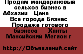 Продам мандариновый сельхоз-бизнес в Абхазии › Цена ­ 1 000 000 - Все города Бизнес » Продажа готового бизнеса   . Ханты-Мансийский,Мегион г.